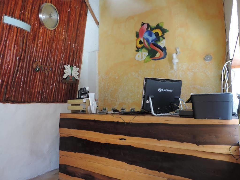 Isla Holbox Golden Paradise Town酒店 外观 照片